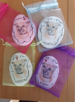 Unsere Fellnasen - 4x Flafy