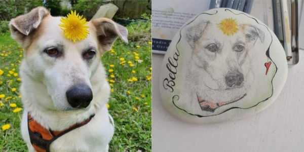 Unsere Fellnasen - Bella