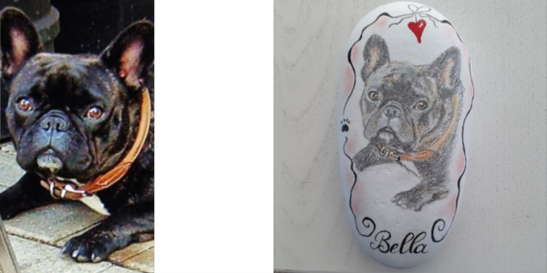 Unsere Fellnasen - Bella2