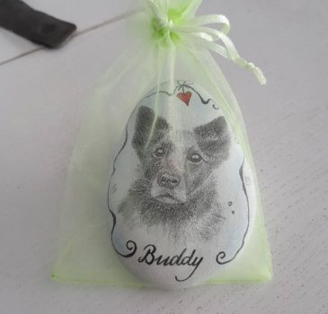 Unsere Fellnasen - Buddy