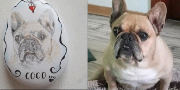 Unsere Fellnasen - Coco