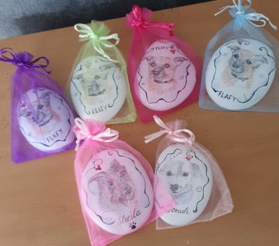 Unsere Fellnasen - Flafy, Sheila und Jonah