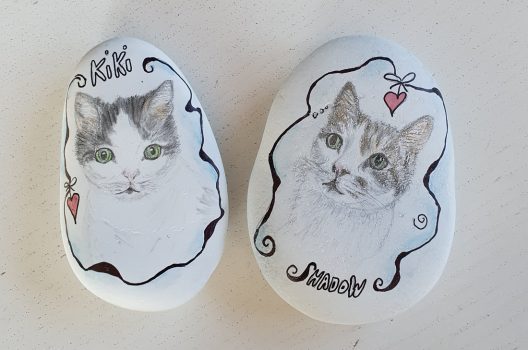 Unsere Fellnasen - Katzen Kiki und Shadow