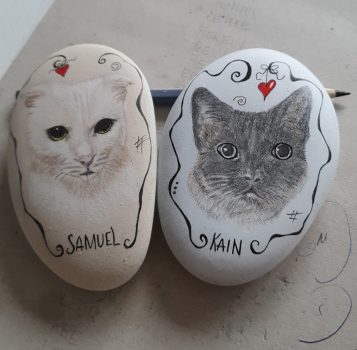 Unsere Fellnasen - Katzen Samuel und Kain