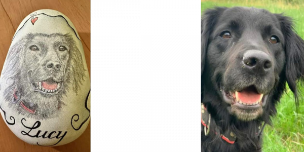 Unsere Fellnasen - Lucy