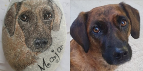 Unsere Fellnasen - Maja