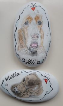 Unsere Fellnasen - Martha und Heti