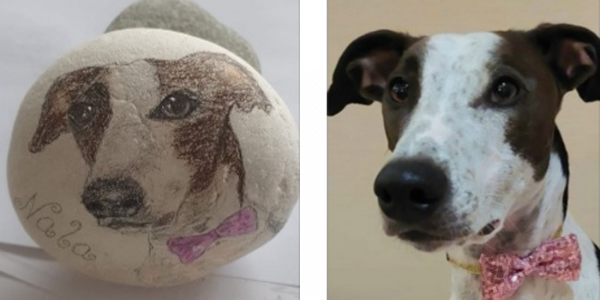 Unsere Fellnasen - Nala