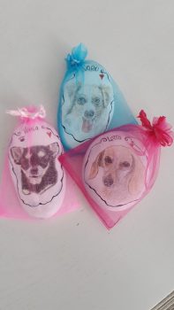 Unsere Fellnasen - Saro, Lotta, Tinka