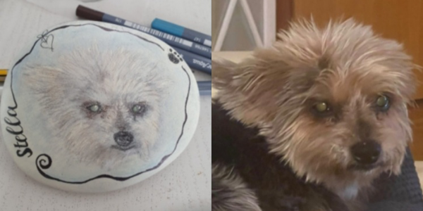 Unsere Fellnasen - Stella