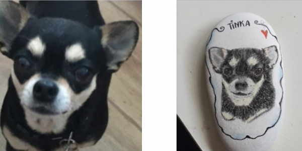 Unsere Fellnasen - Tinka